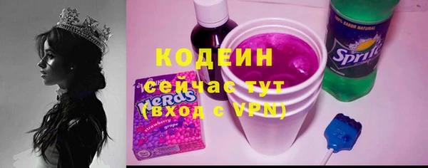 крисы Елабуга