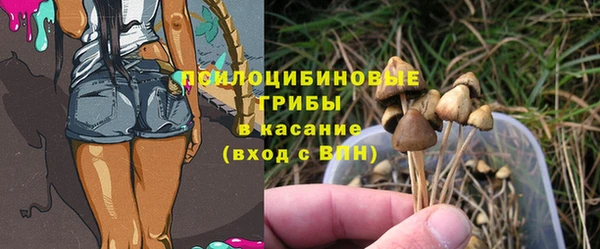 метадон Заводоуковск