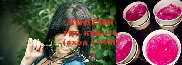 крисы Елабуга